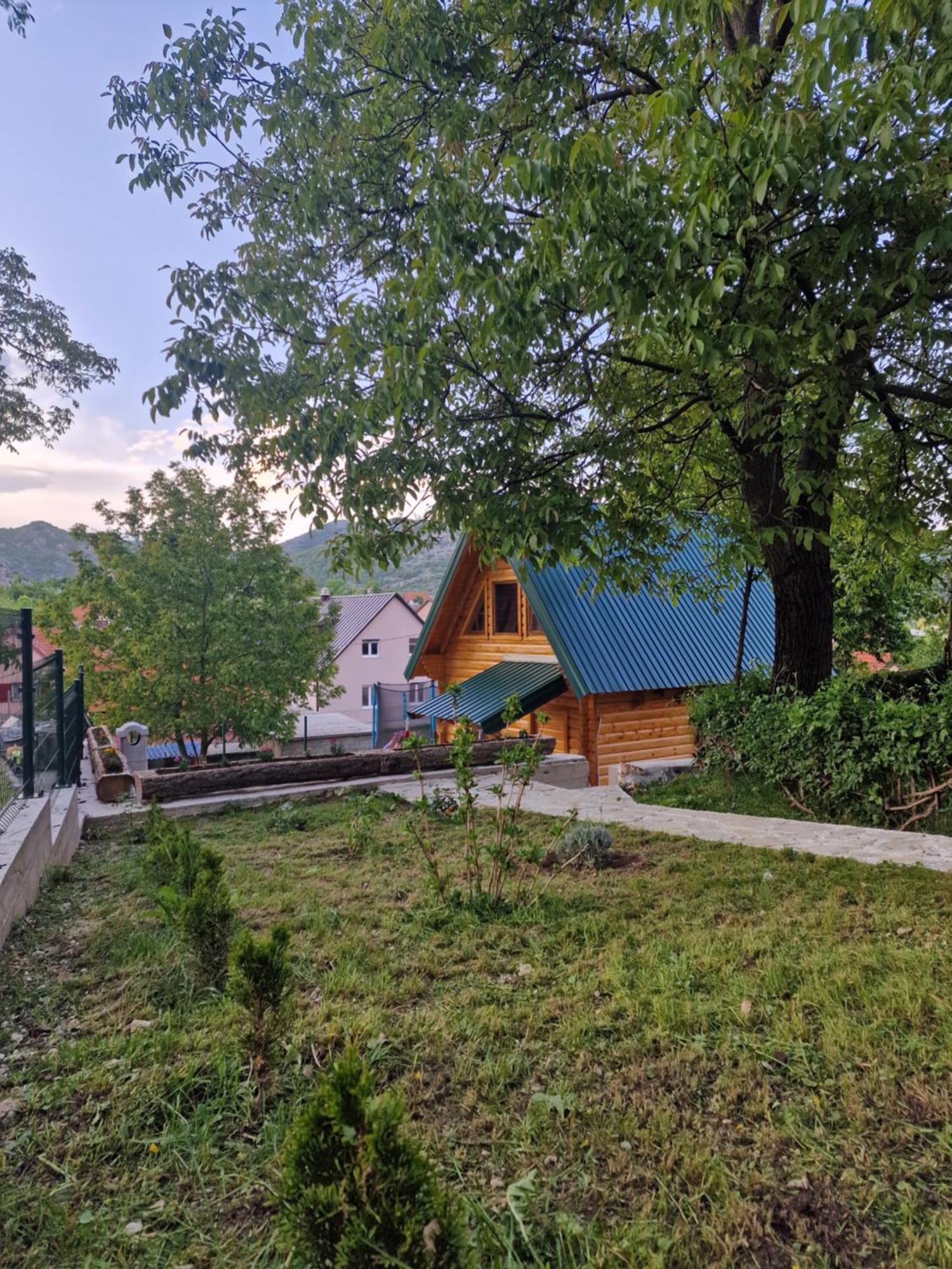 Brvnara Ricki Villa Cetinje Kültér fotó