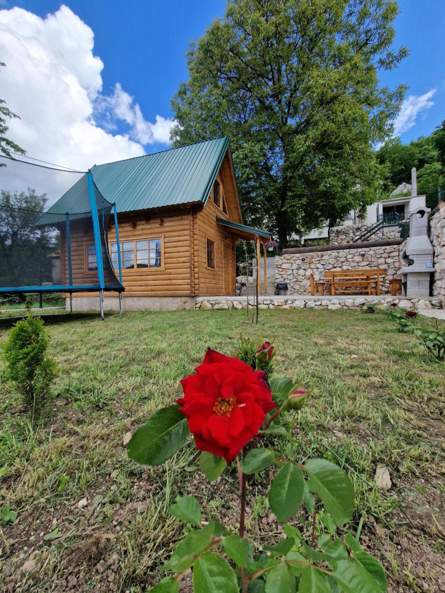 Brvnara Ricki Villa Cetinje Kültér fotó