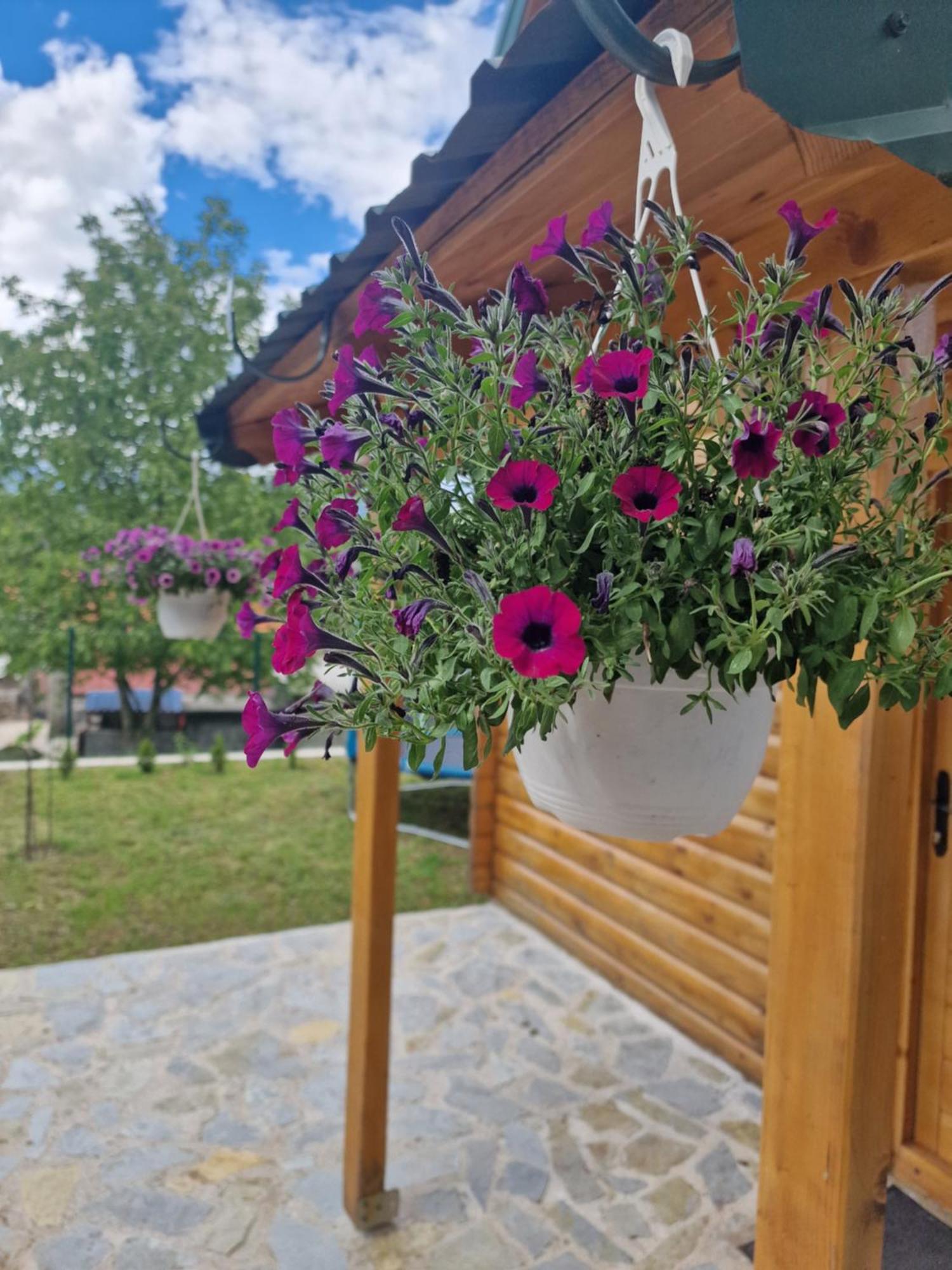 Brvnara Ricki Villa Cetinje Kültér fotó