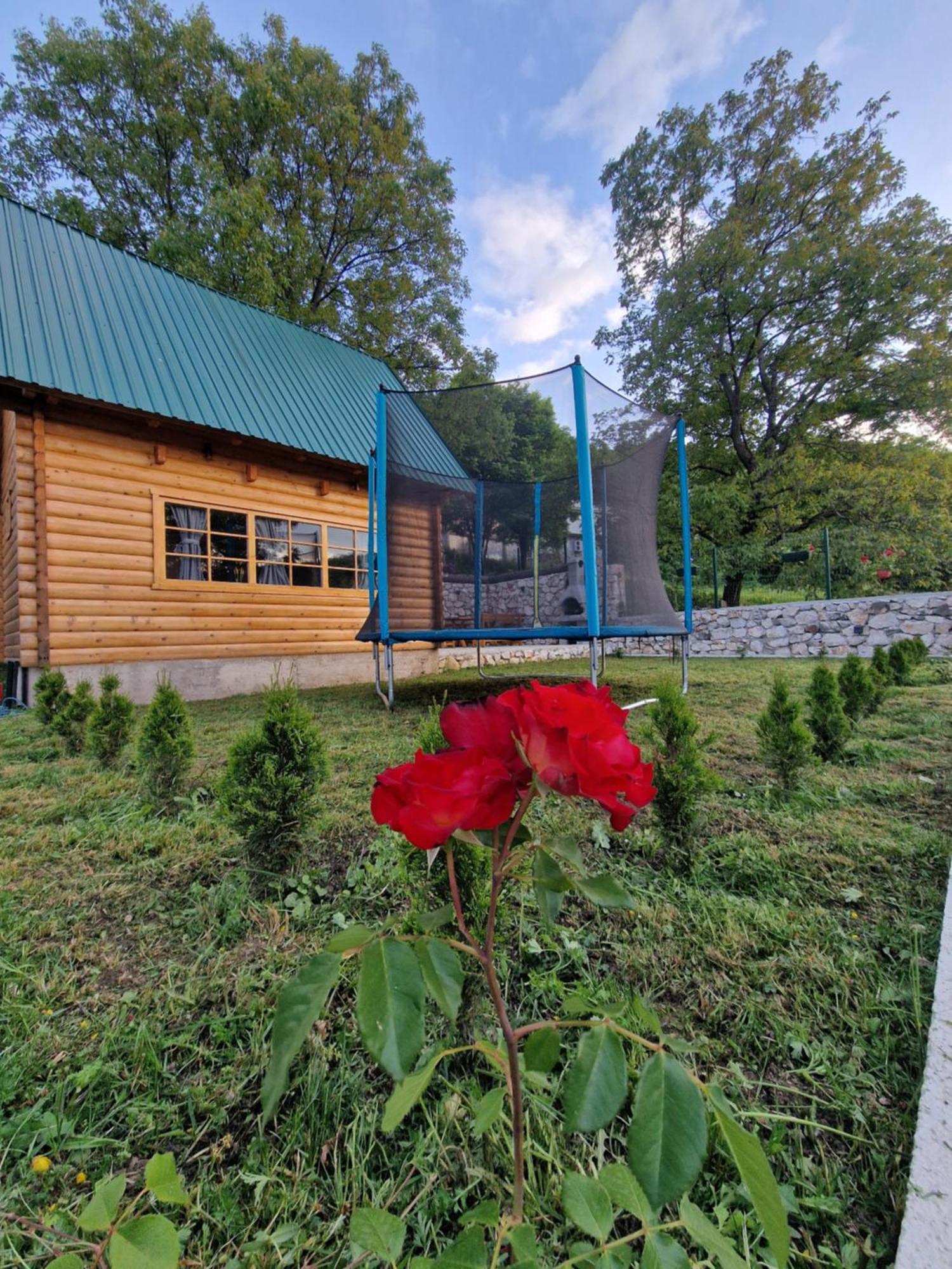 Brvnara Ricki Villa Cetinje Kültér fotó