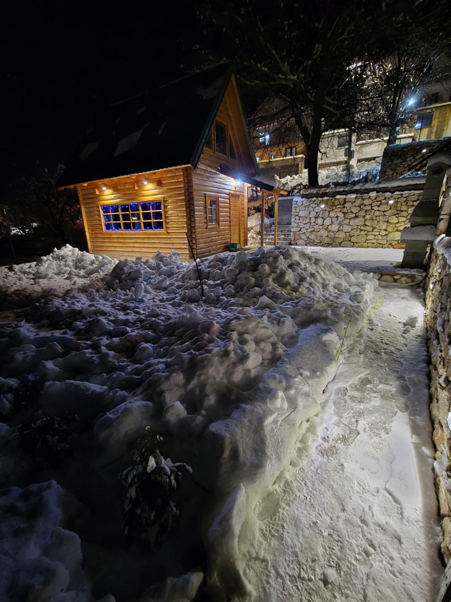 Brvnara Ricki Villa Cetinje Kültér fotó